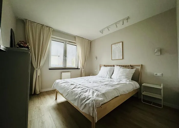 Misvest Lord Florian X * Γκλίβιτσε